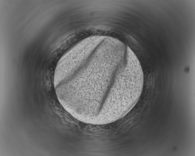 X0000116780774201001071236