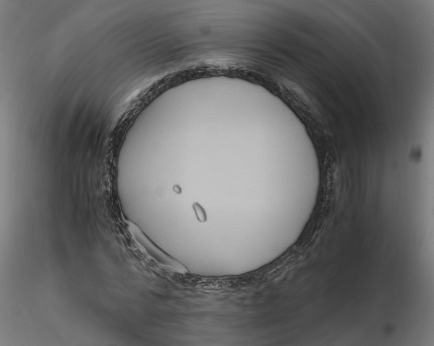 X0000116780776201001071236