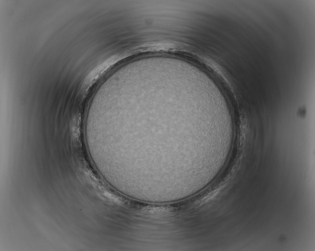 X0000116780778201001071236