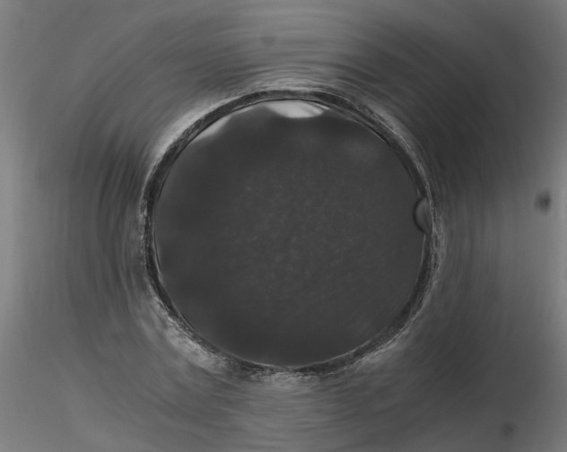 X0000116780779201001071236