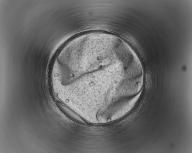 X0000116780780201001071236