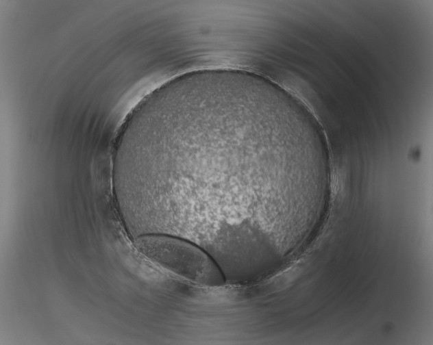 X0000116780781201001071236