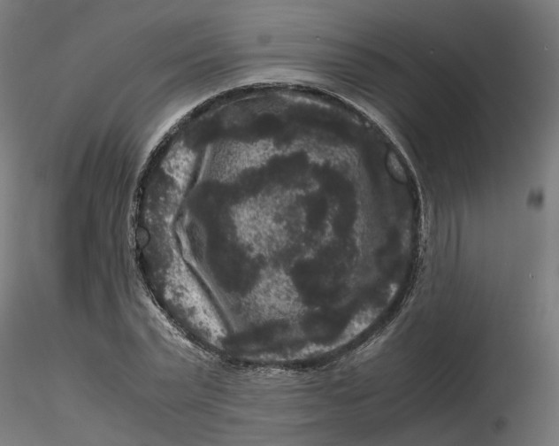 X0000116780783201001071236