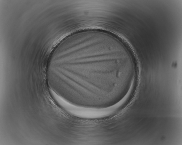 X0000116780785201001071236