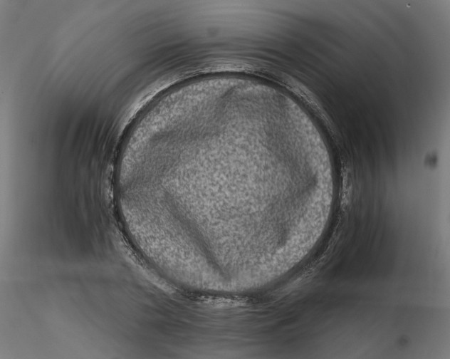 X0000116780786201001071236