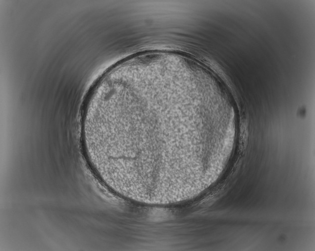 X0000116780787201001071236