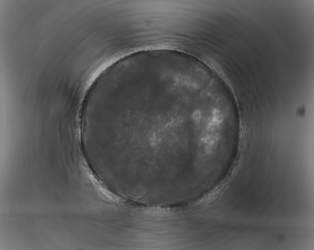 X0000116780789201001071236