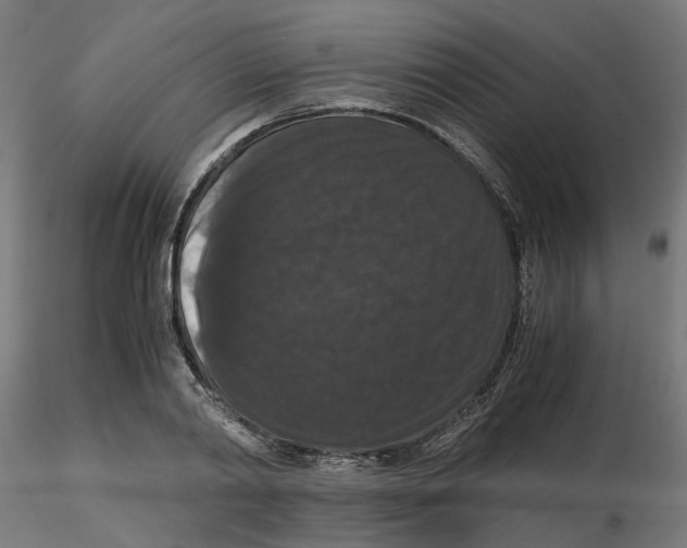 X0000116780790201001071236