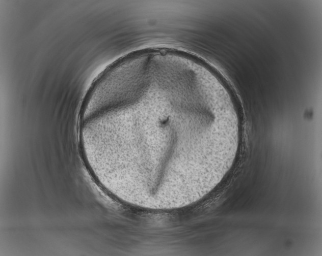 X0000116780791201001071236