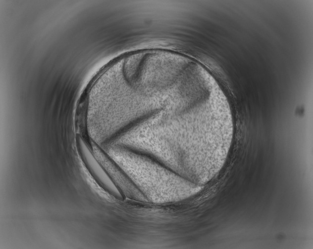 X0000116780792201001071236