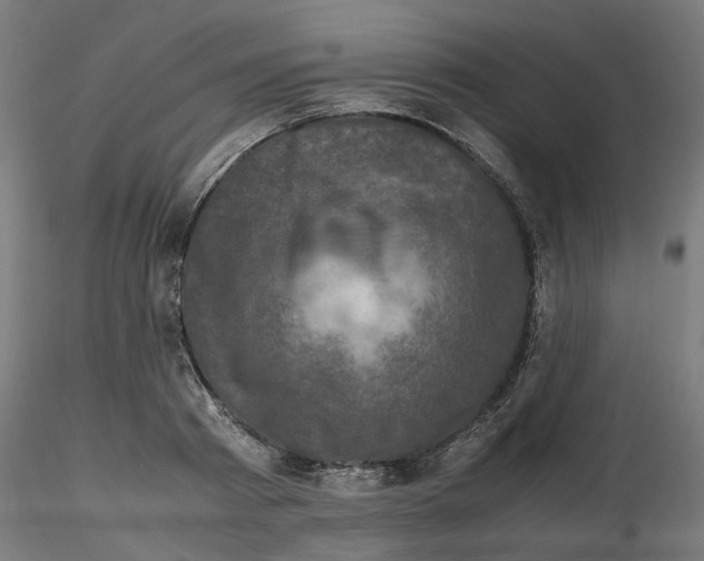 X0000116780793201001071236