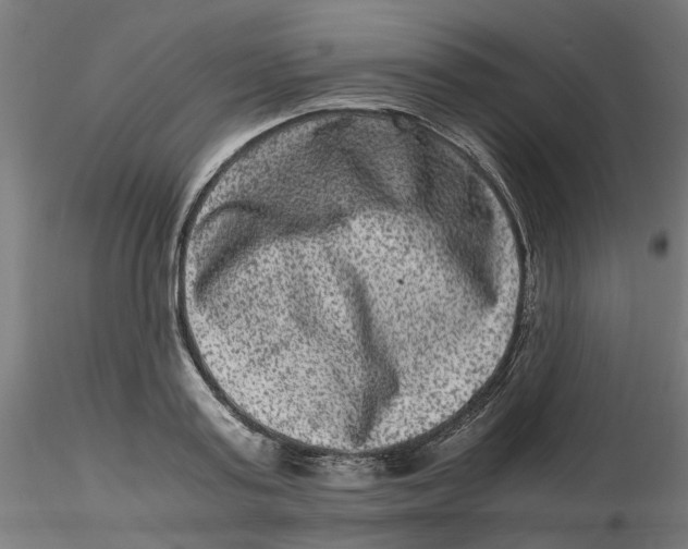 X0000116780795201001071236