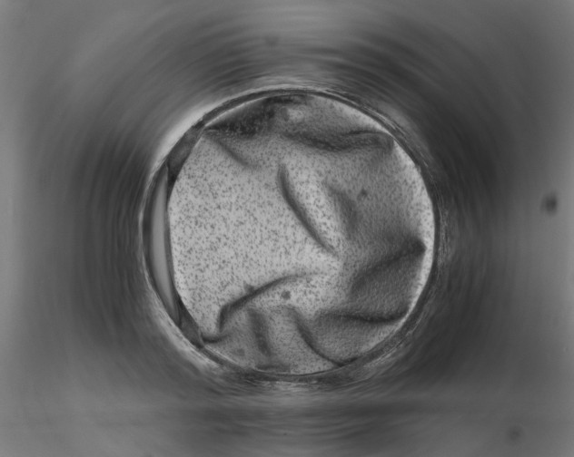 X0000116780796201001071236