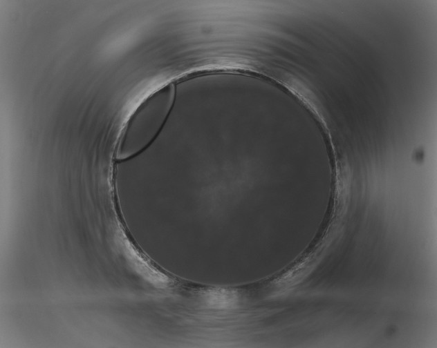 X0000116780797201001071236