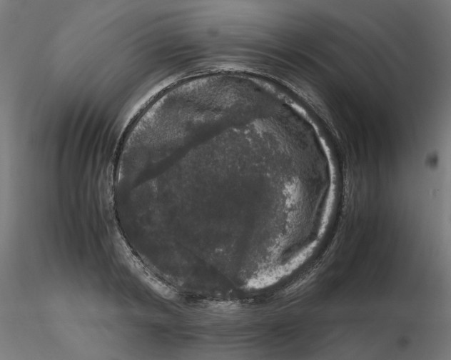 X0000116780798201001071236