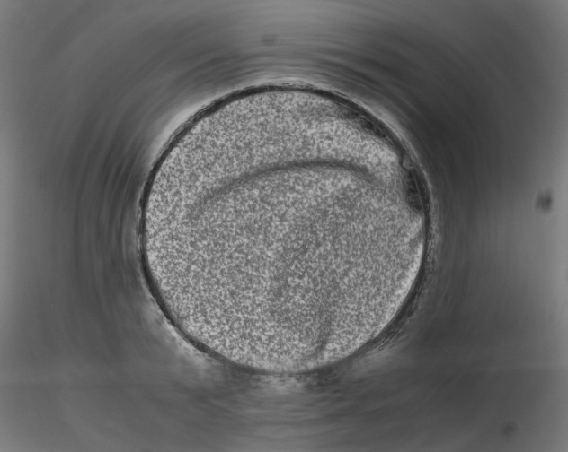 X0000116780799201001071236