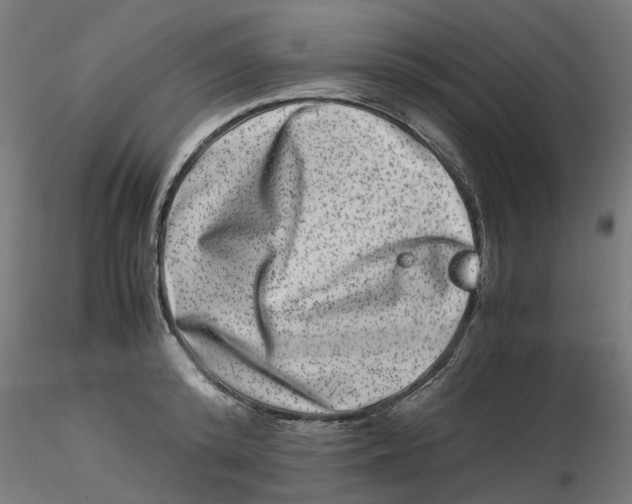 X0000116780800201001071236