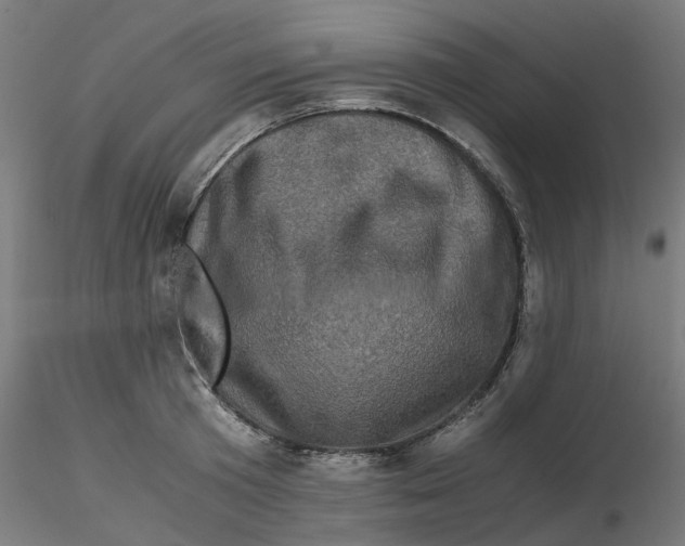 X0000116780801201001071236