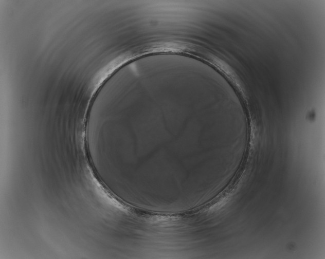 X0000116780802201001071236