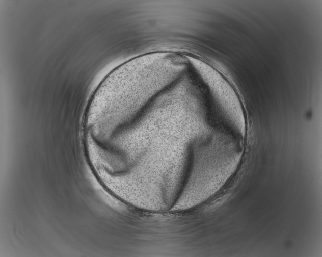 X0000116780803201001071236