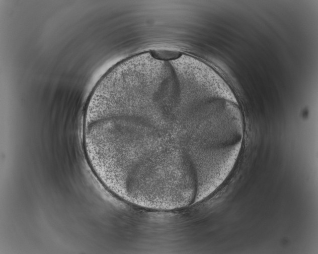 X0000116780804201001071236