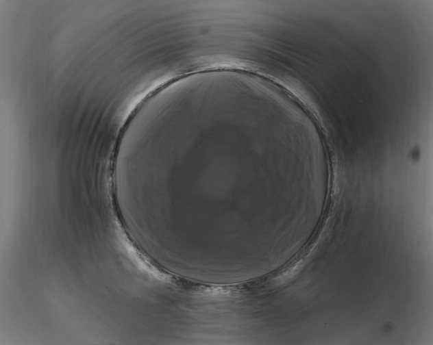 X0000116780806201001071236