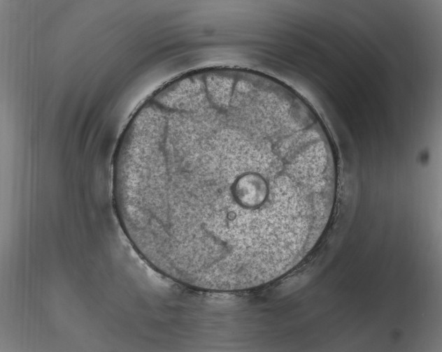 X0000116780807201001071236