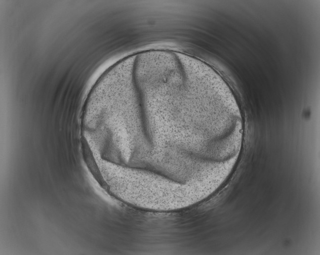 X0000116780808201001071236