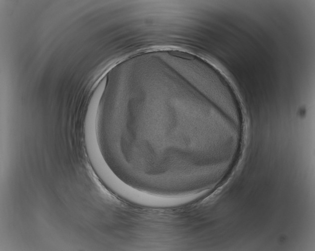 X0000116780809201001071236