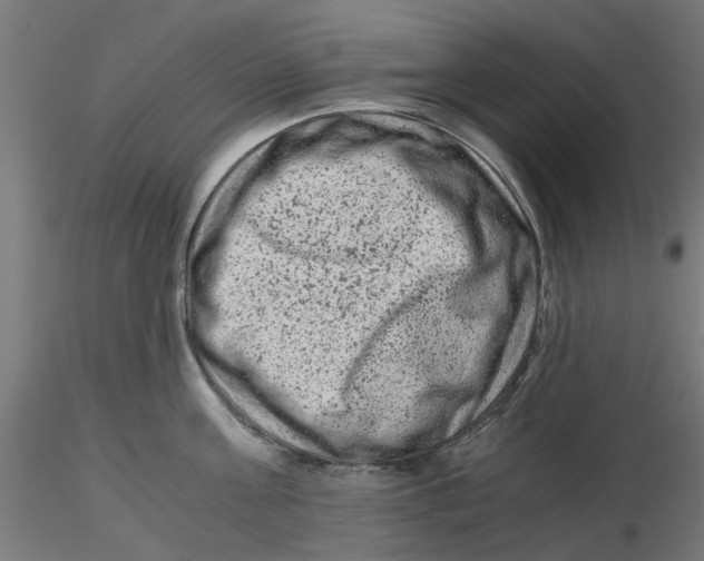 X0000116780811201001071236