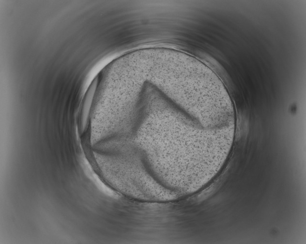 X0000116780812201001071236