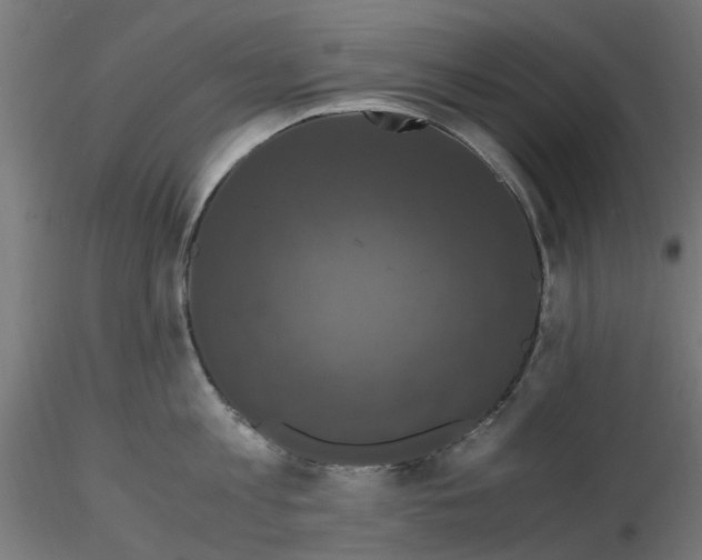 X0000116780813201001071236