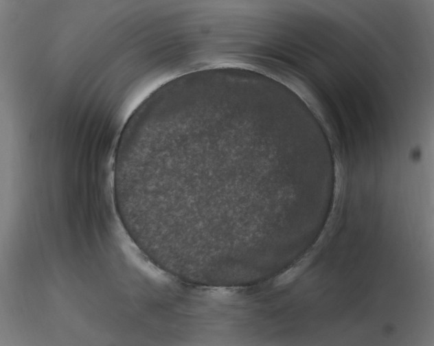 X0000116780814201001071236