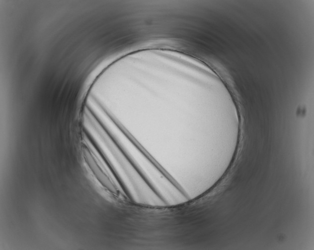 X0000116780816201001071236