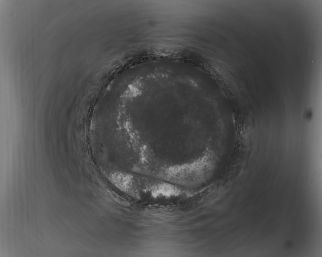 X0000116780817201001071235