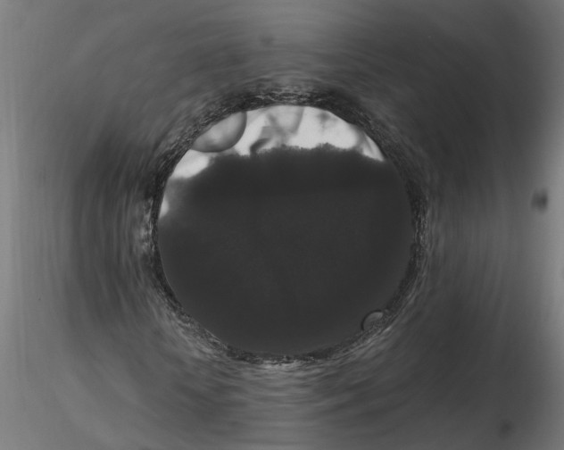 X0000116780818201001071235