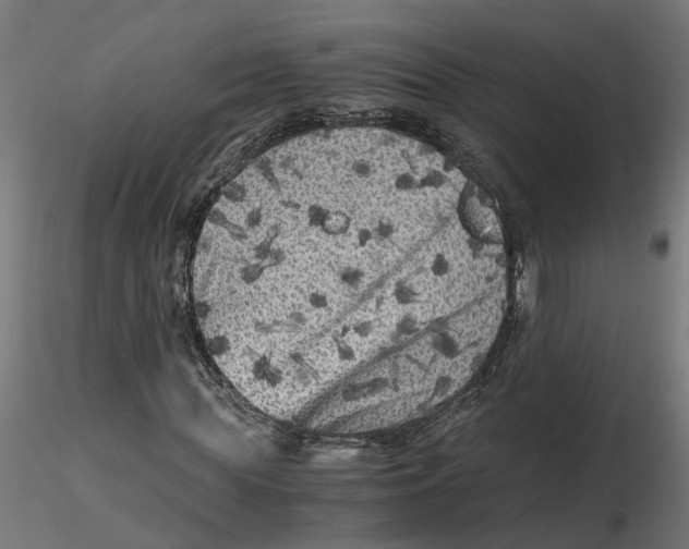 X0000116780819201001071235