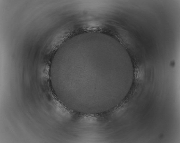 X0000116780820201001071235