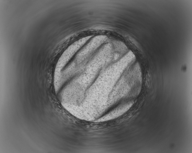 X0000116780821201001071235