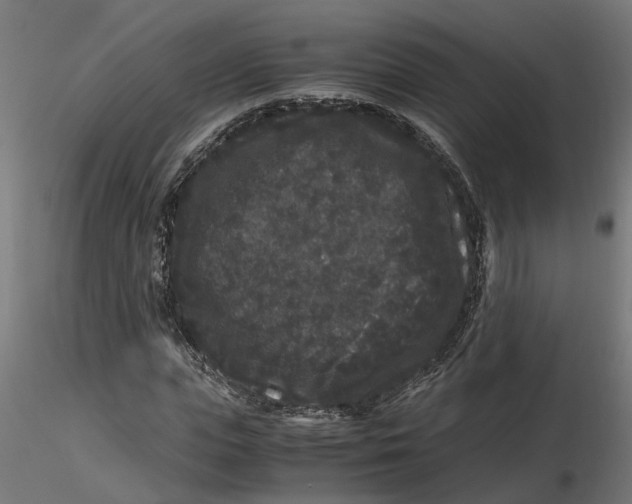 X0000116780823201001071235