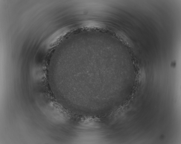 X0000116780824201001071235