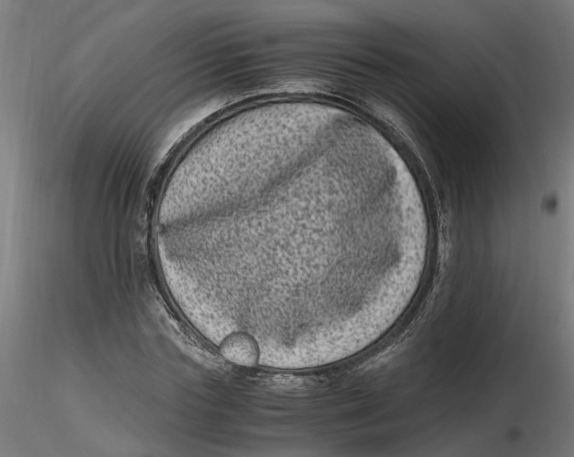 X0000116780827201001071235