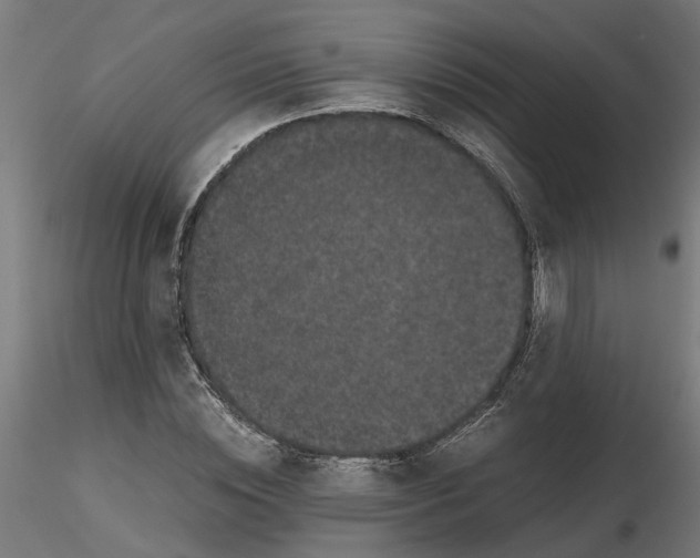 X0000116780828201001071235