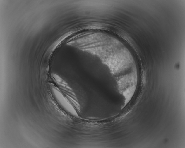 X0000116780829201001071235