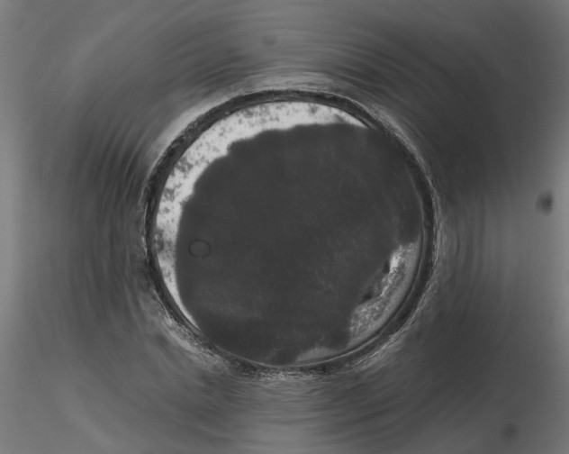 X0000116780830201001071235