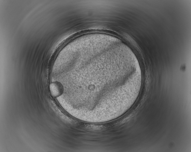 X0000116780831201001071235