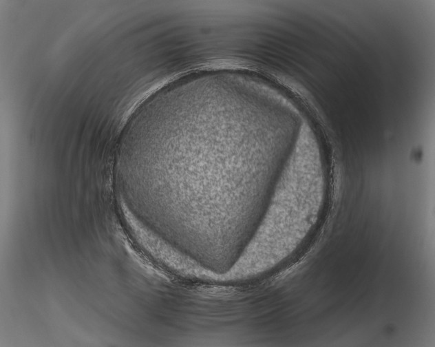 X0000116780833201001071235