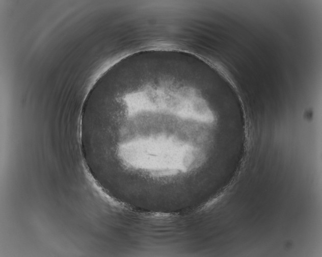 X0000116780839201001071235