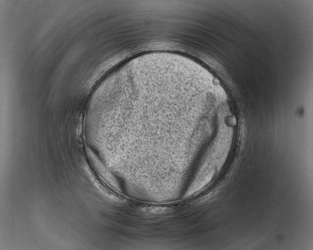 X0000116780841201001071235