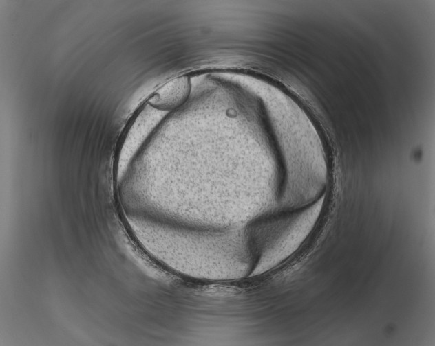 X0000116780842201001071235